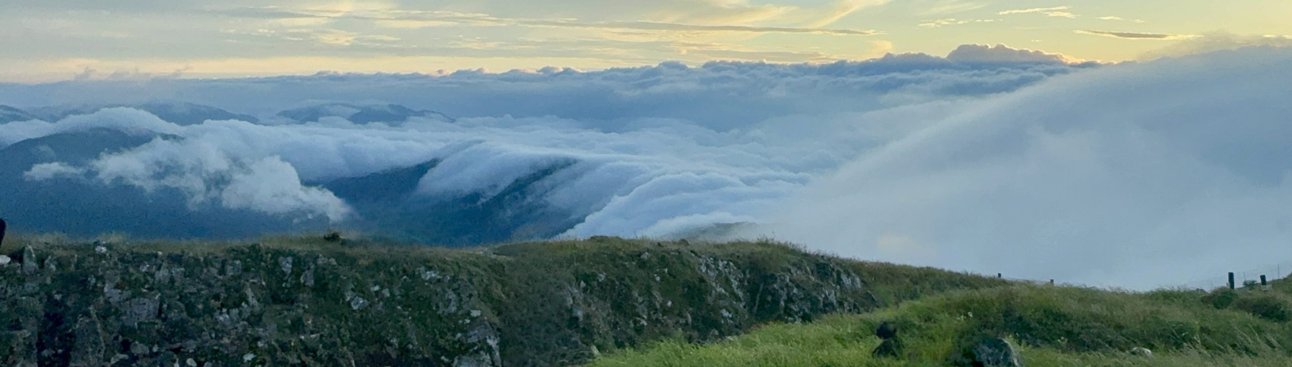 伊吹山から見る雲海