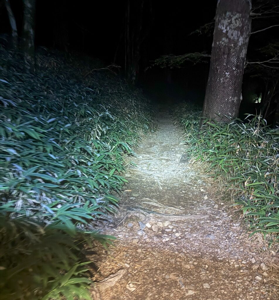 夜明け前の登山道